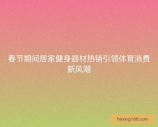 春节期间居家健身器材热销引领体育消费新风潮